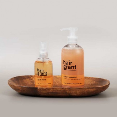 Fortify Routine