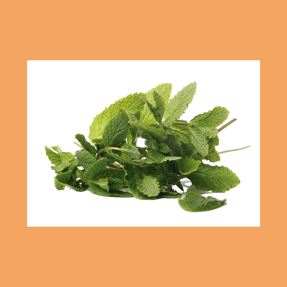 Menthol